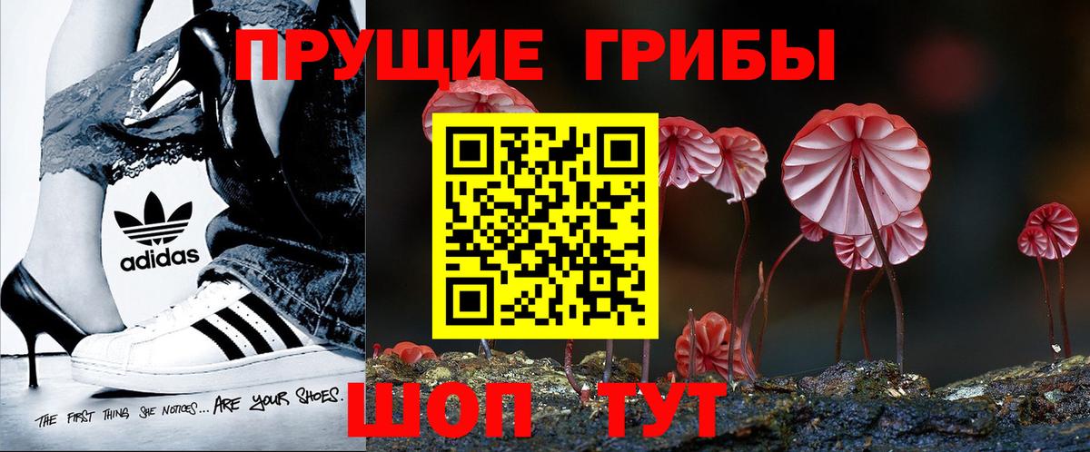 Псилоцибиновые грибы прущие грибы  цены   Северск  Вход с VPN 