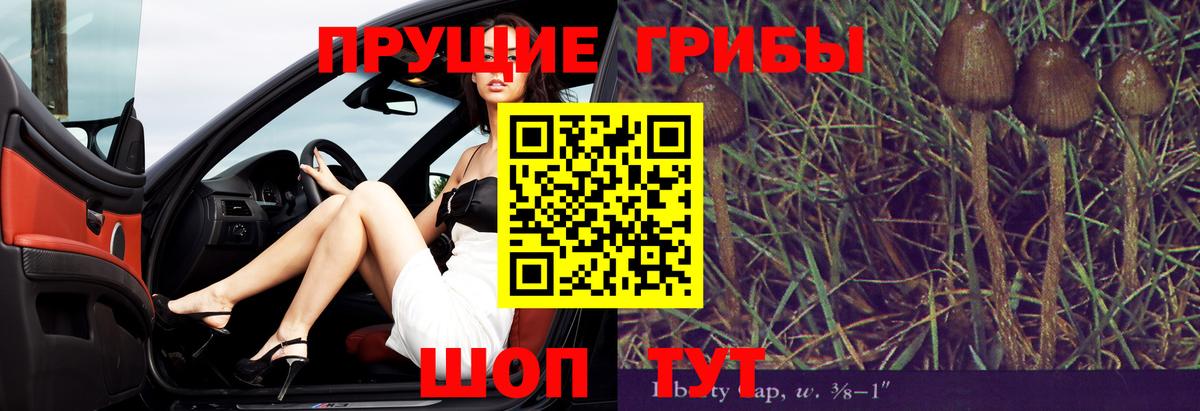 Галлюциногенные грибы прущие грибы Северск