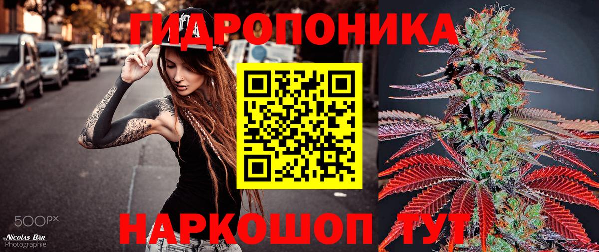 Бошки Шишки конопля  Вход с VPN  Бошки Шишки SATIVA & INDICA  Северск  Бошки Шишки Amnesia 